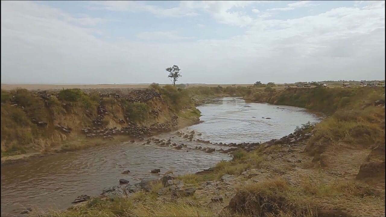La nostra Africa: professionisti della natura 2