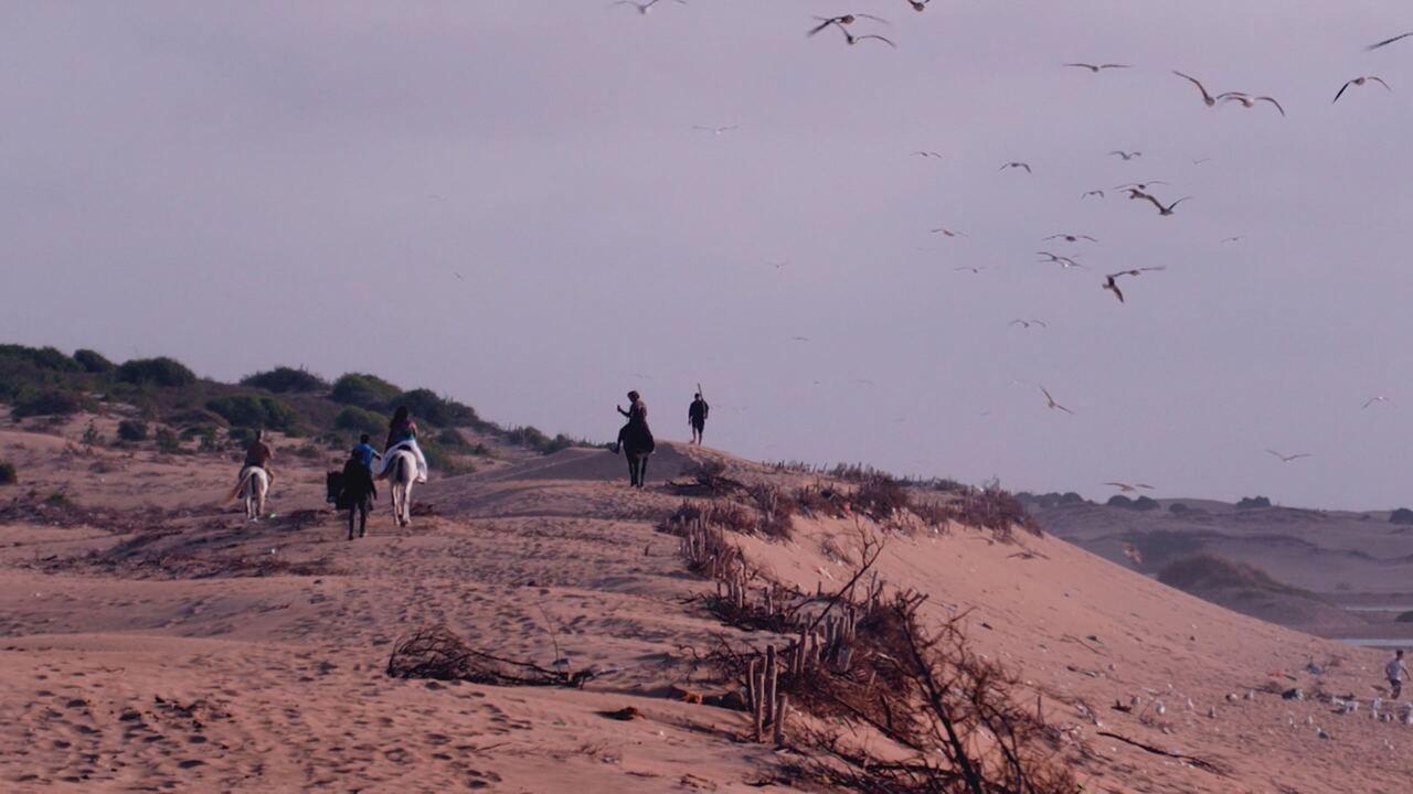 La nostra Africa: professionisti della natura 2