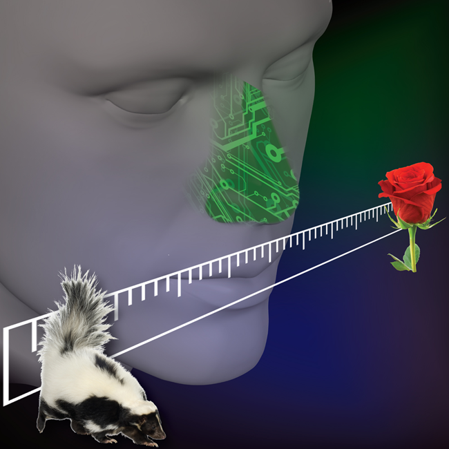 Il cattivo odore
