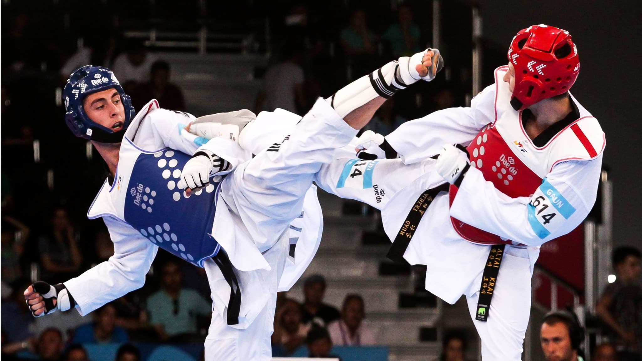 Taekwondo