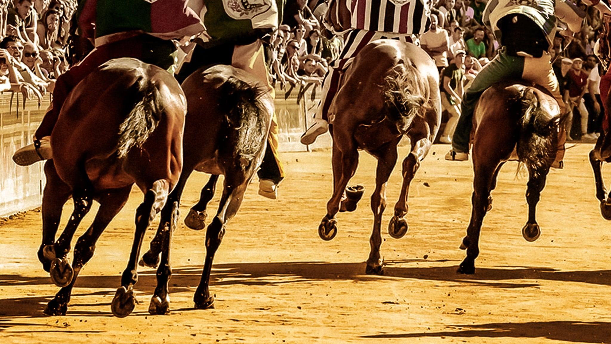 TGR Palio dell'Assunta