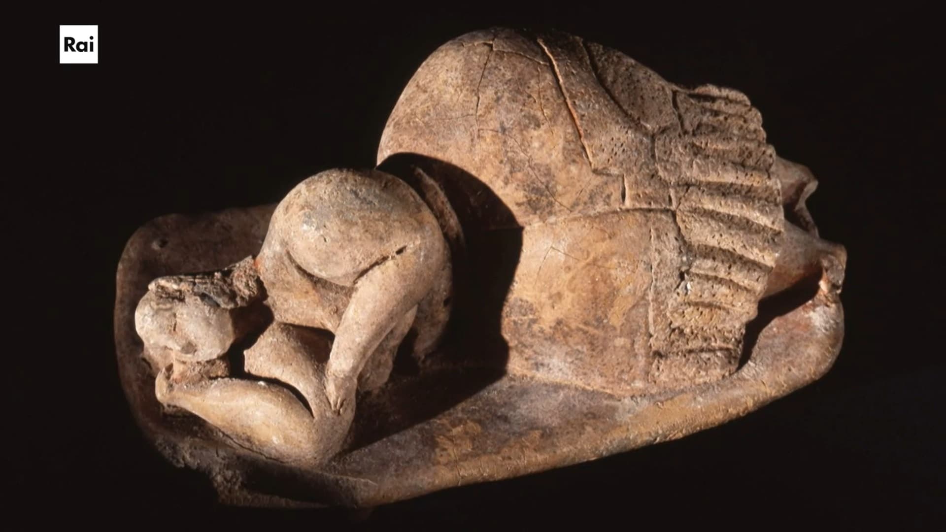 Casa Sapiens