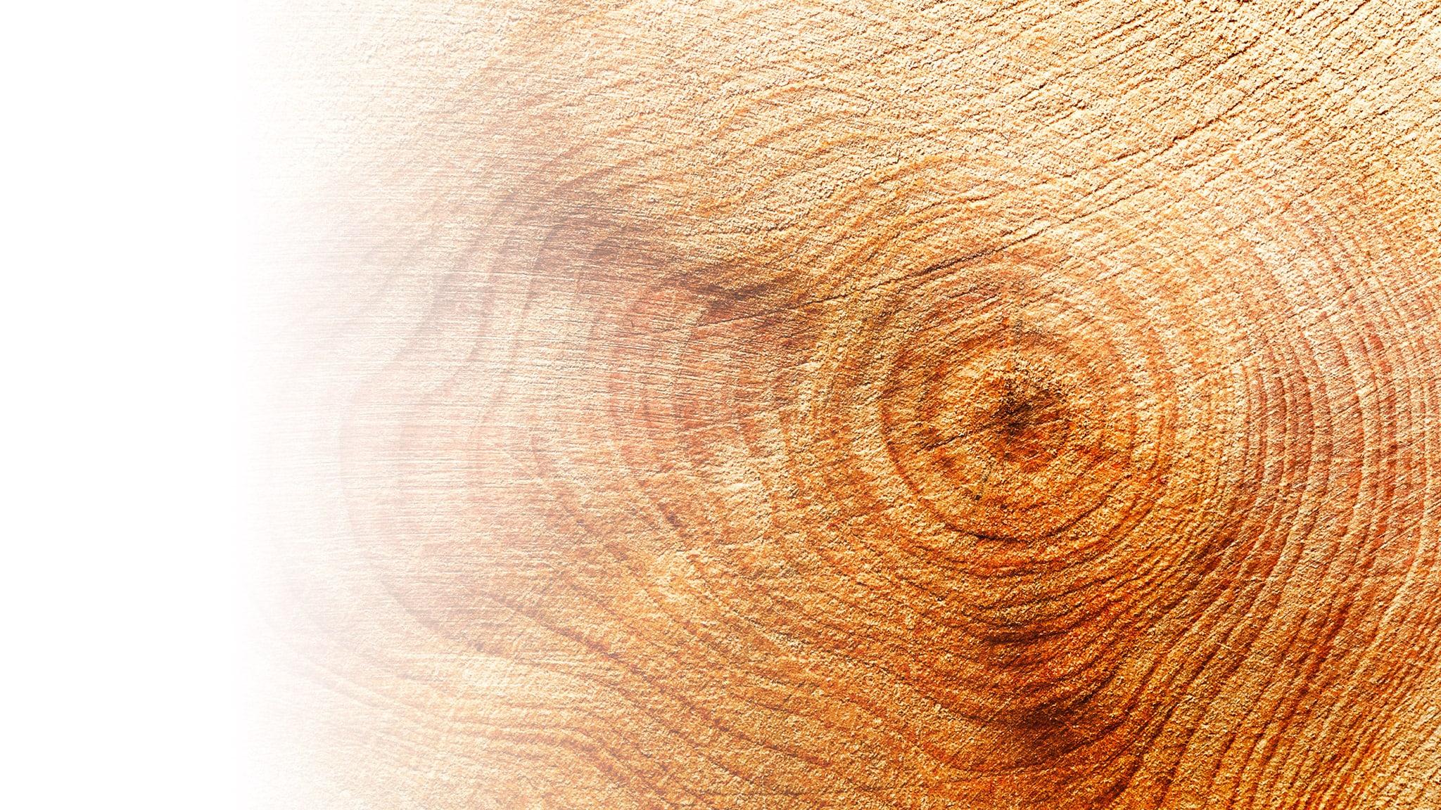 Materia Viva