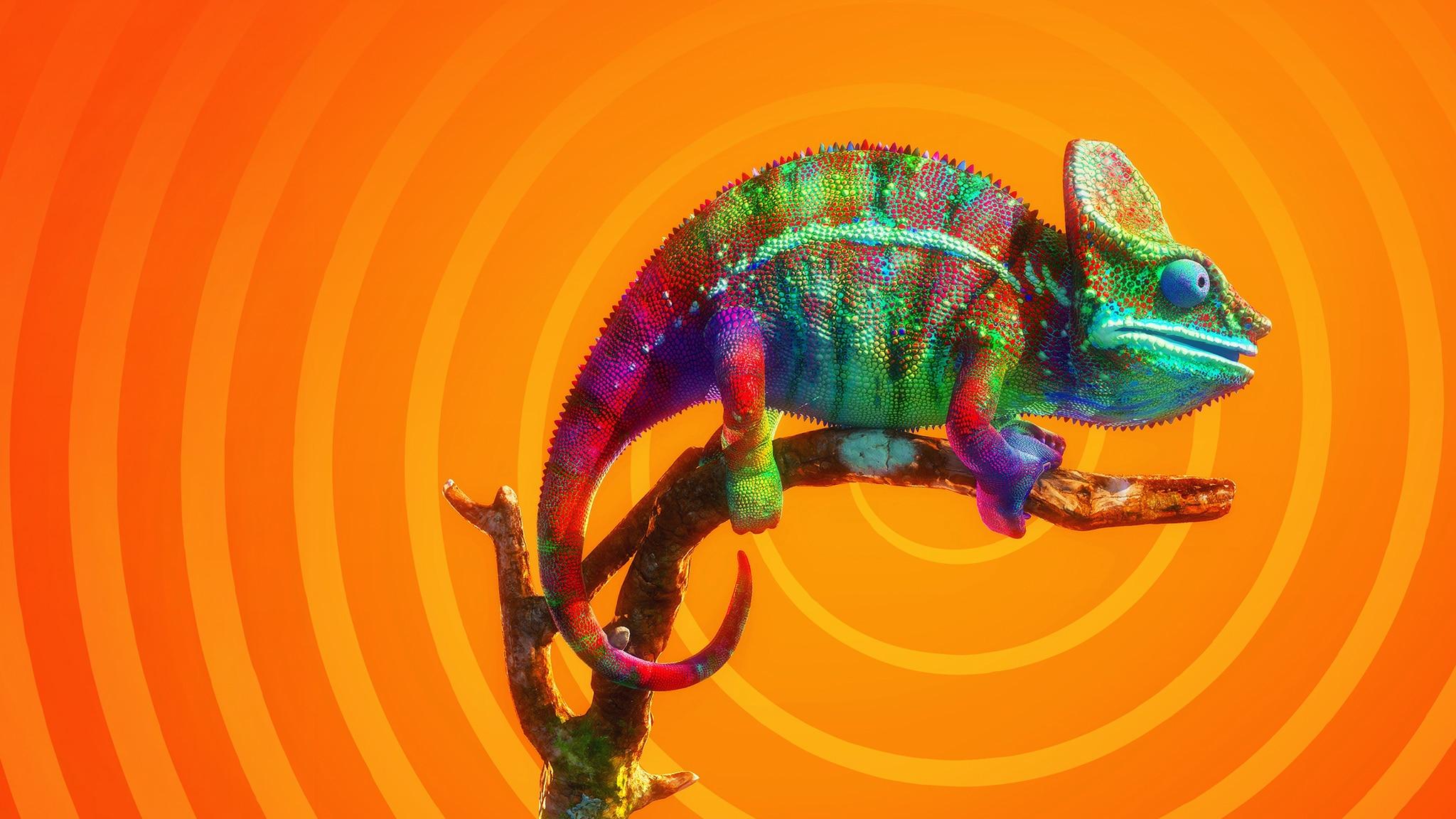 Animali stupefacenti